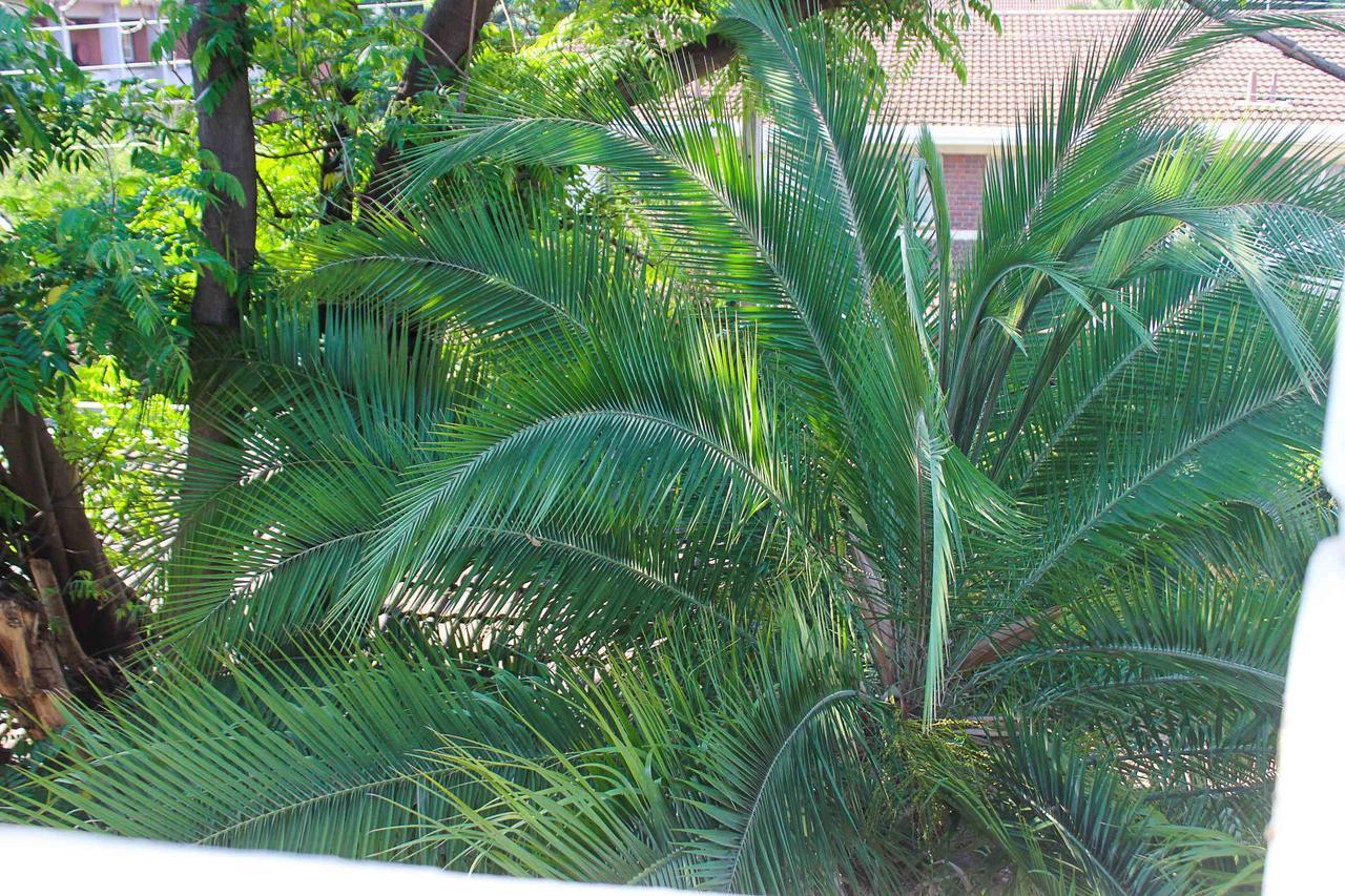 Lolo'S 1Bed Apt-Best Location-2Balconies Harare Exterior foto